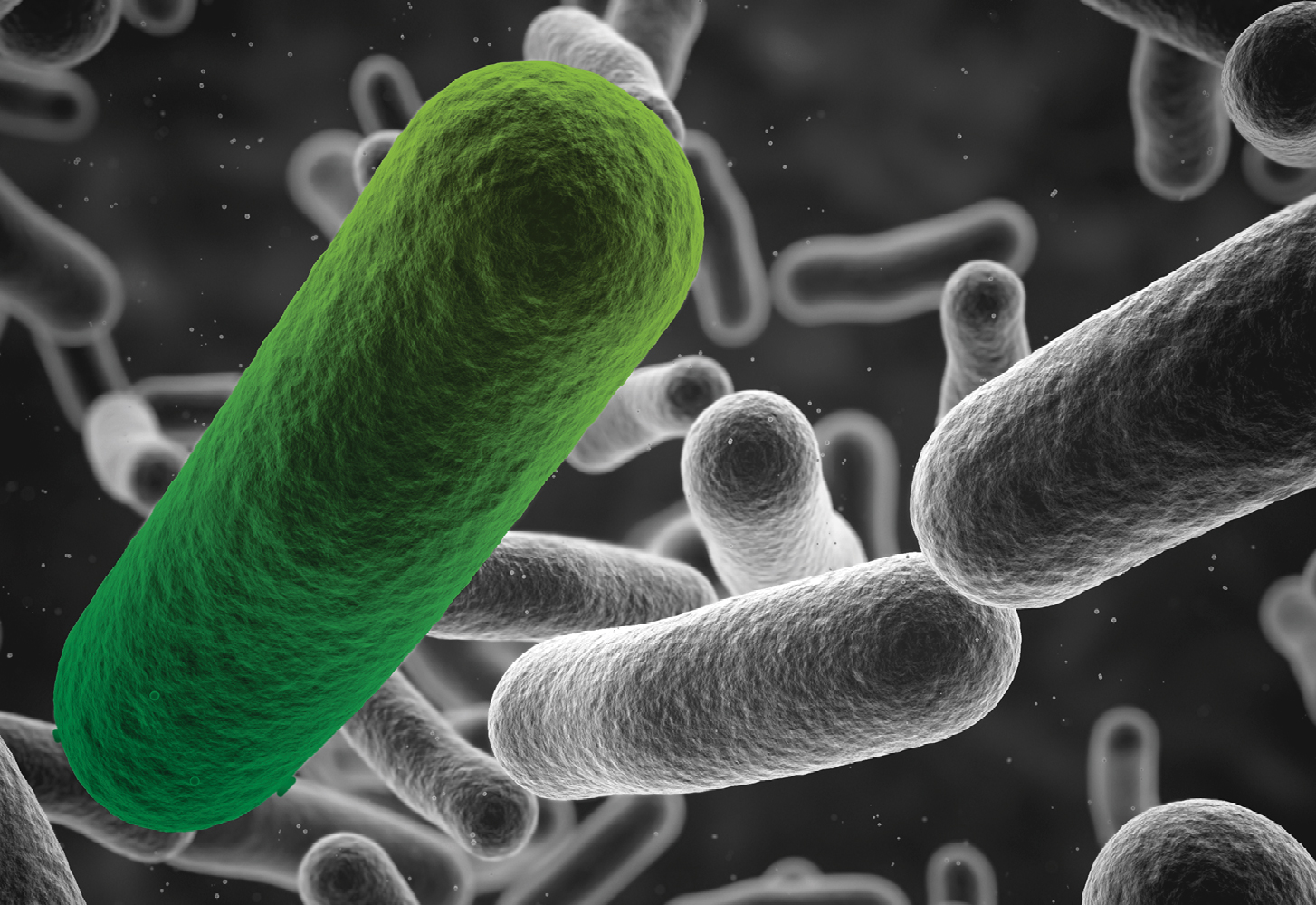 Budapest treaty thumbnail3