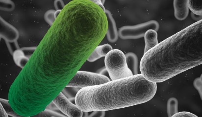 Budapest treaty thumbnail4