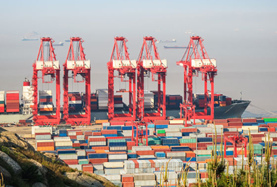 China container export resized thumbnail3