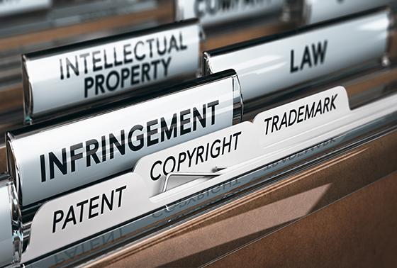 Intellectual property files thumbnail17