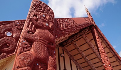 Navigating the conflict between intellectual property thumbnail