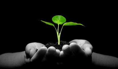 PVR Act review thumbnail2