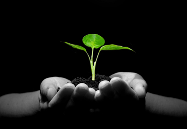 Review of PVR Act thumbnail3