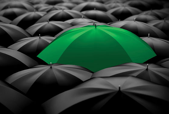 Umbrellas 1600x1001.jpg tumb